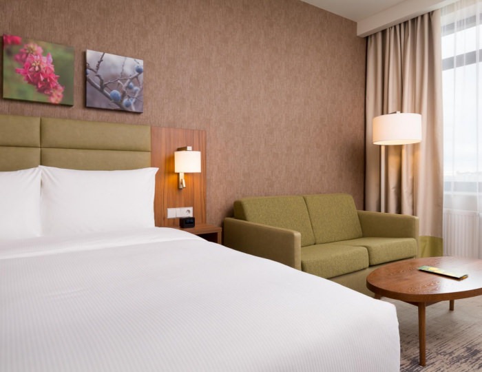 Номер стандарт семейный с 1 двуспальной кроватью - Отель Hilton Garden Inn Orenburg / Хилтон Гарден Инн Оренбург