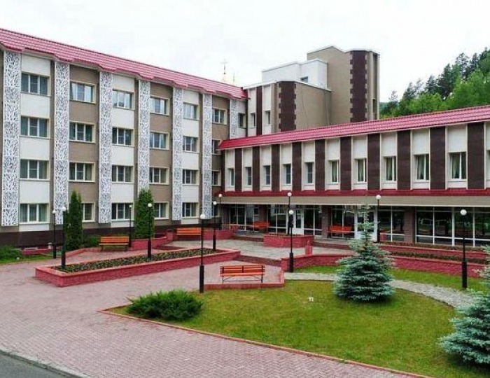 Отель «Борус» Черёмушки