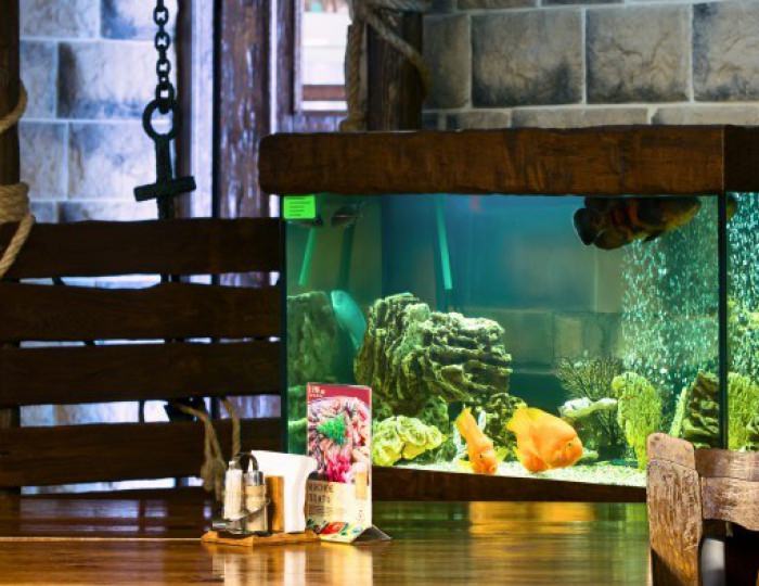 Бар «FISH'ка БАР» - Отель «Тропикана Парк»