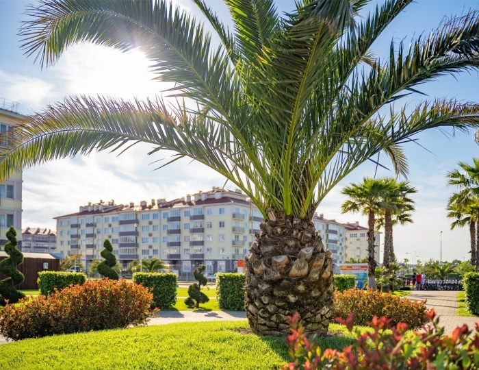 Стандарт 2-местный Эконом (Economy Twin) - Спортивный квартал 17, город-отель «Бархатные сезоны»