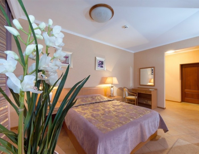 Полулюкс Junior Suite - Отель «Новый» Смоленск