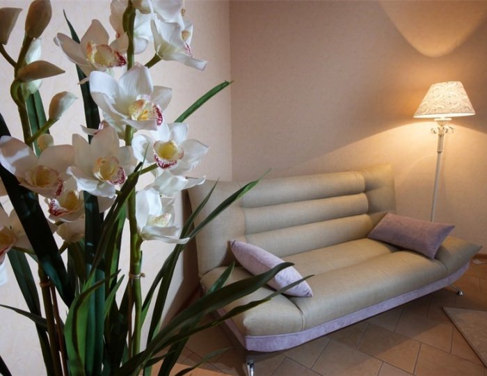 Полулюкс Junior Suite - Отель «Новый» Смоленск