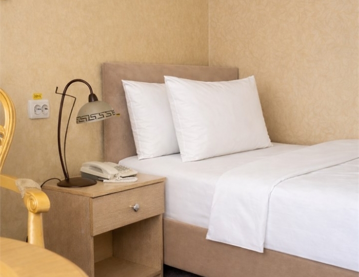 Одноместный - Гостиница «Эрмитаж» Ростов-на-Дону