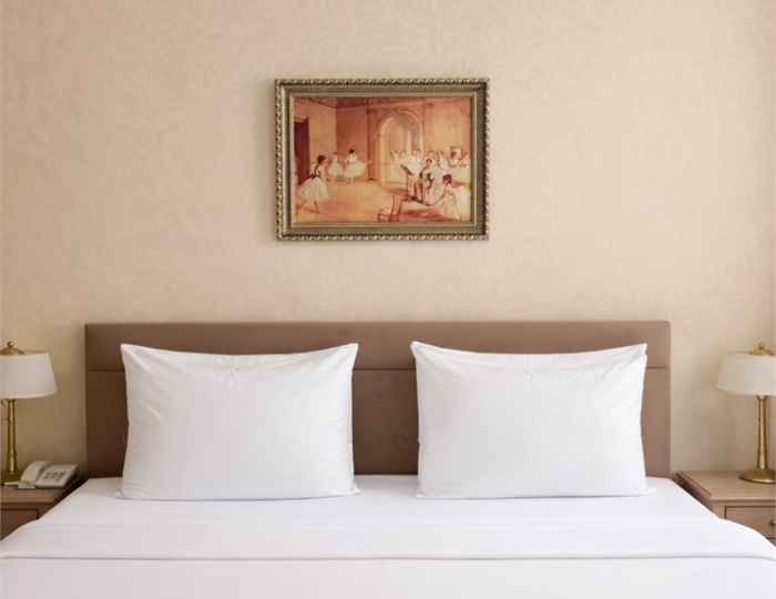 Стандарт - Гостиница «Эрмитаж» Ростов-на-Дону