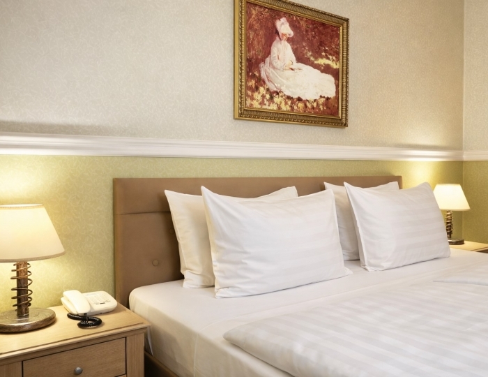 Стандарт - Гостиница «Эрмитаж» Ростов-на-Дону