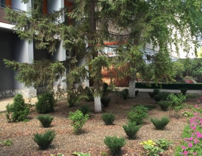 Гостиничный комплекс «Сафари»