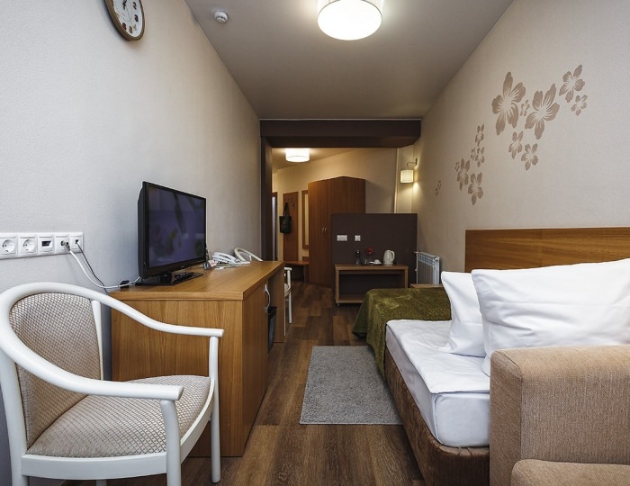 Стандарт 1 местный - Санаторий Siberia Resort & Spa / Сибирь Резорт и Спа