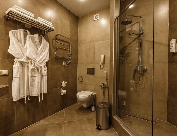 Стандарт Улучшенный LV - Санаторий Siberia Resort & Spa / Сибирь Резорт и Спа