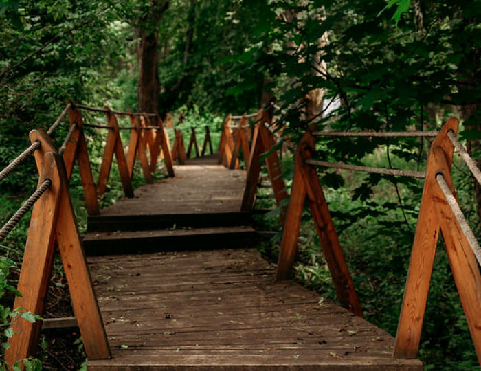 Отель Welna Eco Spa Resort / Велна Эко Спа Резорт