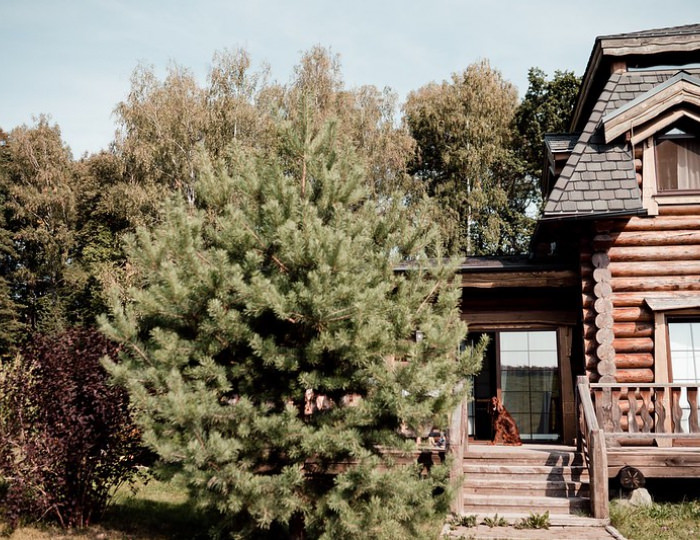 Отель Welna Eco Spa Resort / Велна Эко Спа Резорт