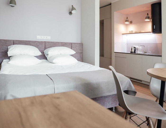 Deluxe Apart - Отель Welna Eco Spa Resort / Велна Эко Спа Резорт