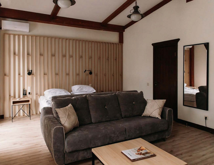 Studio Plus - Отель Welna Eco Spa Resort / Велна Эко Спа Резорт