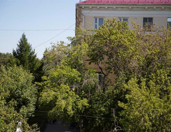 Гостиница «Золотой лев» Омск