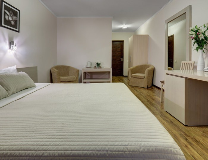 Комфорт 1-комнатный 2-местный (к. 2, 3) - Дом отдыха Valesko Hotel & Spa / Валеско