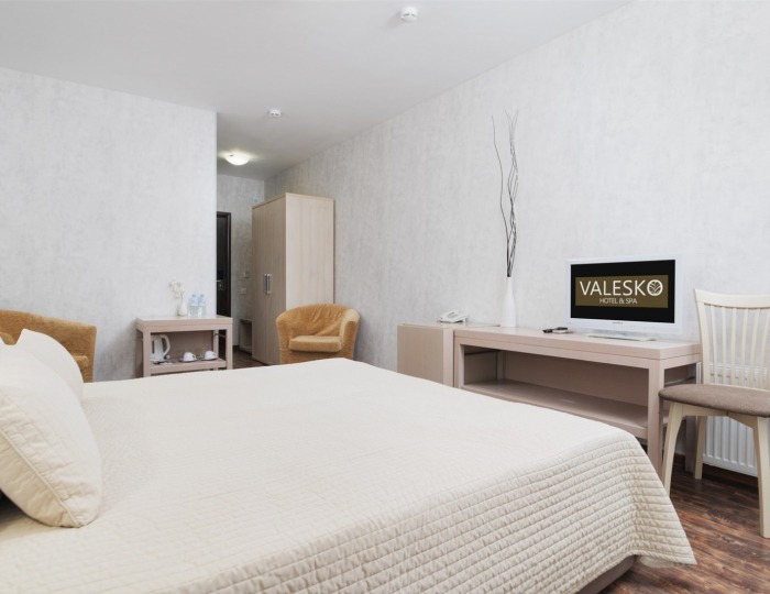 Комфорт 1-комнатный 2-местный (к. 2, 3) - Дом отдыха Valesko Hotel & Spa / Валеско