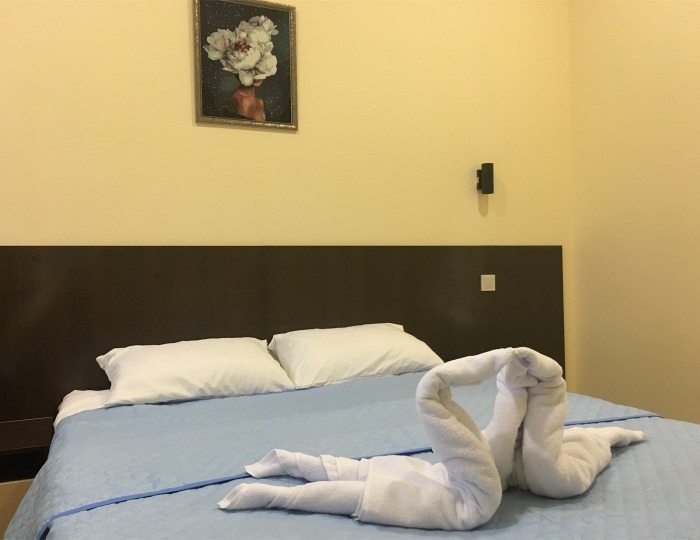 Двухместный номер с 1 кроватью или 2 отдельными кроватями - Отель «Полуостров»