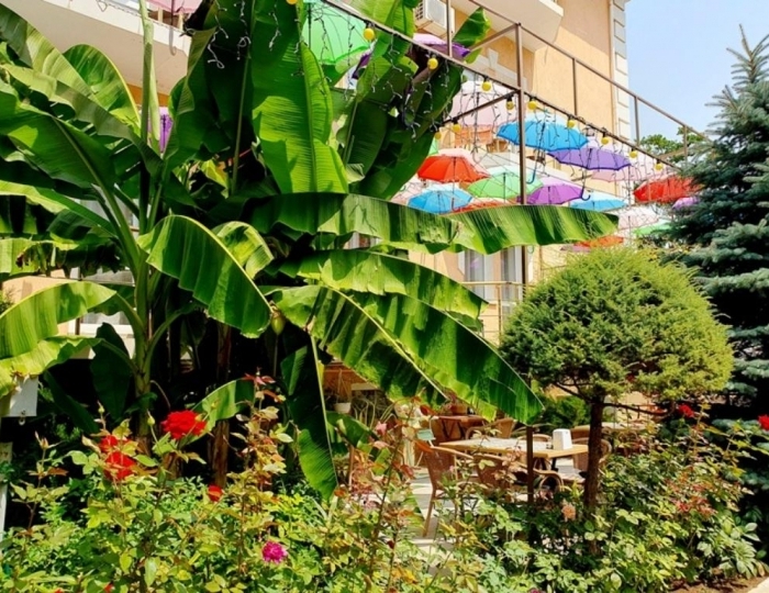 Отель «Энигма» Николаевка