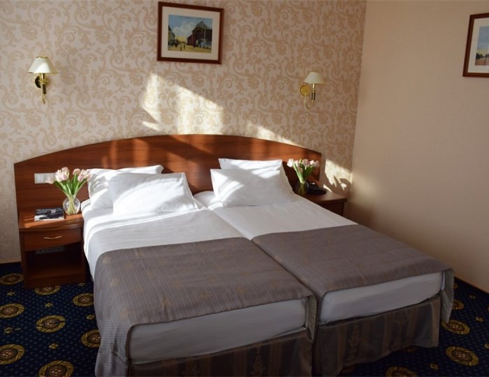 Стандарт - Отель «София» Тула