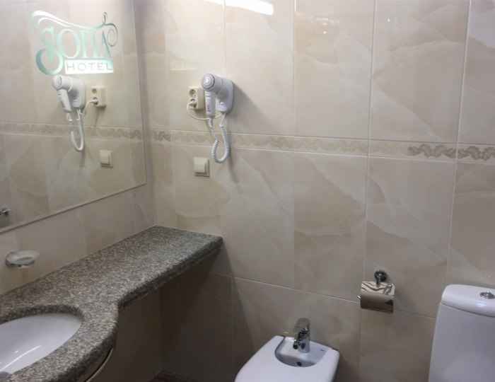 Люкс плюс - Отель «София» Тула