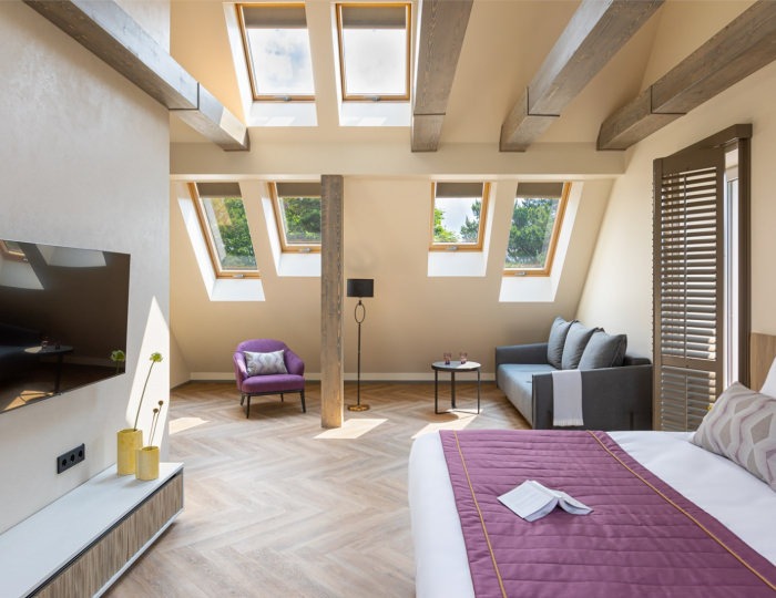 Стандарт 2-местный Бизнес - Отель Berry Hotel & Spa / Бэрри Светлогорск
