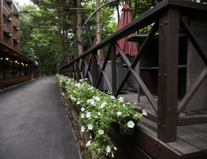 Парк-отель «Аврора» Владивосток