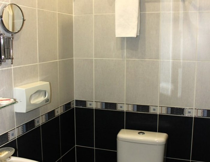 Стандартный двухместный - Парк-отель «Ставрополь»