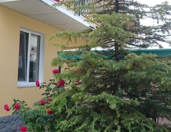 Отель «Афина» Николаевка