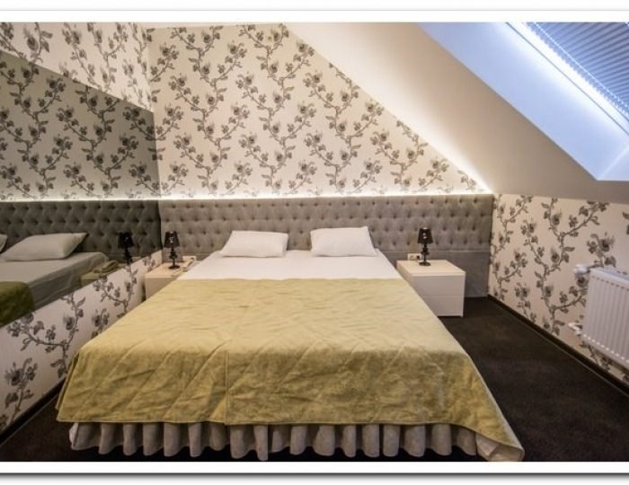 Двухместный номер Делюкс с 1 кроватью или 2 отдельными кроватями - Отель «Шертон»