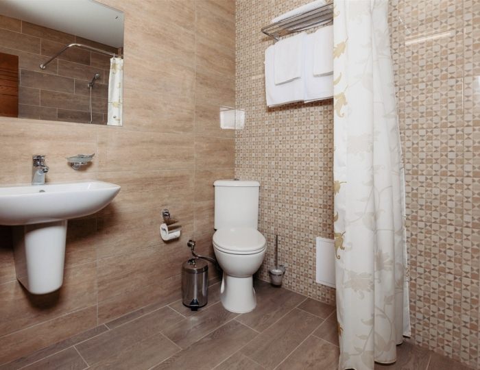 СТАНДАРТ С ВИДОМ НА ПАРКОВУЮ ЗОНУ - Отель Family Pride Inn / Фэмили Прайд Инн Витязево