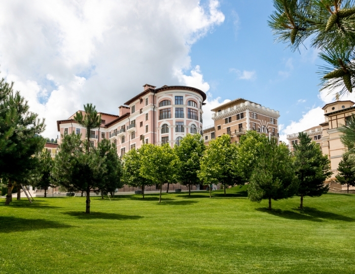 Отель «Долина 960»