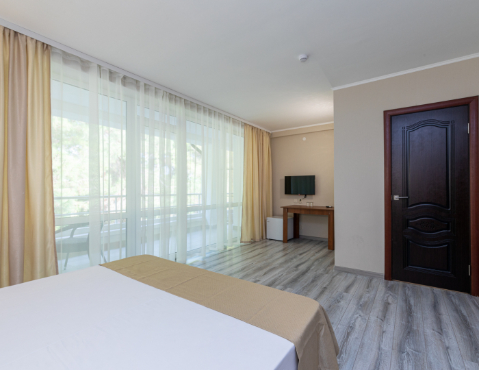 Студия 2-местная 1-комнатная студия - Дом отдыха «Золотые пески» Пицунда