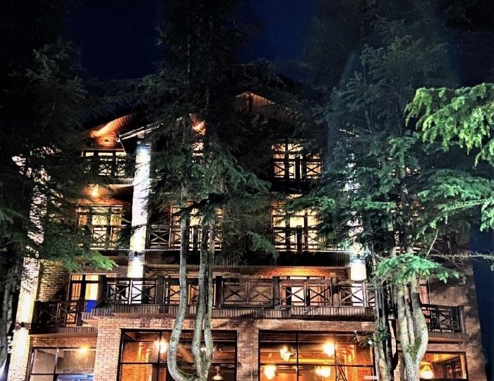 Отель «Арт-отель» Цандрипш