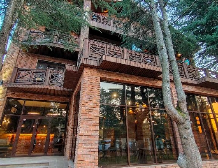 Отель «Арт-отель» Цандрипш