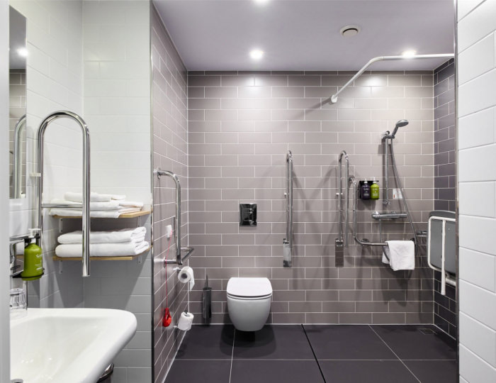 Стандарт 2-местный DBL для МГН - Отель Express Sadovaya Hotel / Экспресс Садовая Санкт-Петербург