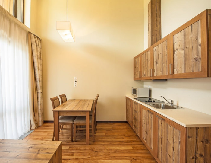 Апартаменты без балкона (1 этаж) - ГК «Поляна 1389 Отель и Спа»