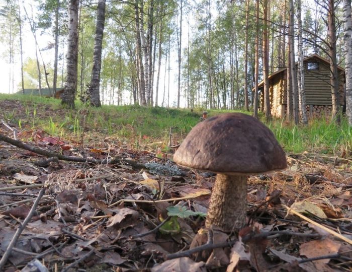 Дом с 2 спальнями - База отдыха «Берлога»