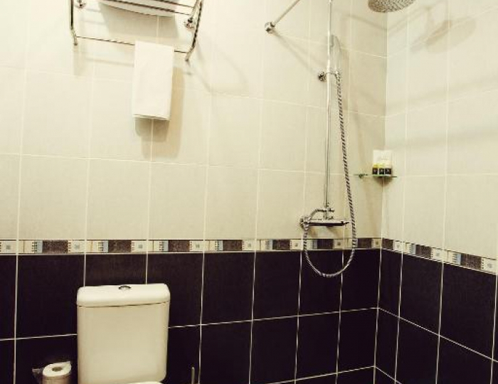 Стандарт Стандарт 2-местный - Отель PARK HOTEL STAVROPOL / Парк Отель Ставрополь