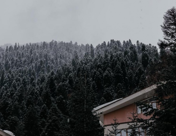 Отель Dombay Winter Hall / Домбай Винтер Холл