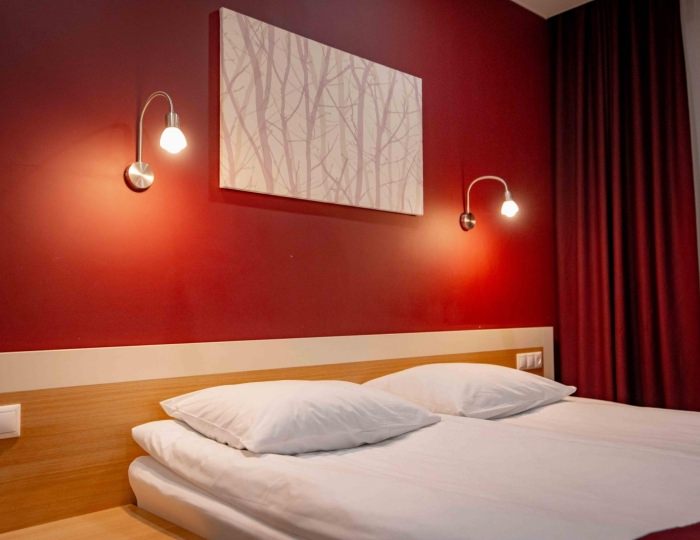 Номер комфорт с 1 двуспальной кроватью - Отель «Раздолье» Псков