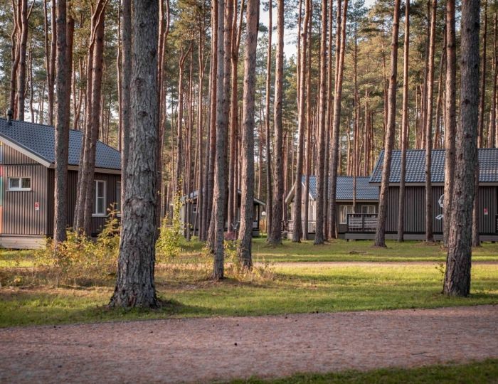 4-местный коттедж стандарт - Отель «Раздолье» Псков