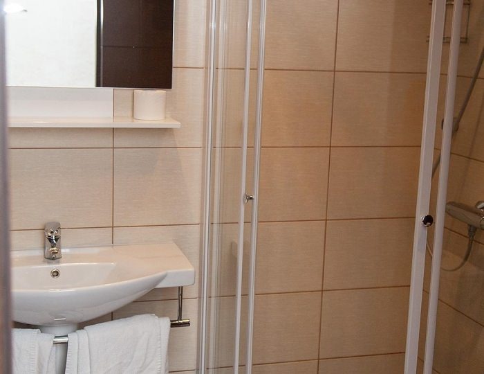 Номер комфорт стандарт с 1 двуспальной кроватью - Отель «Колос» Псков