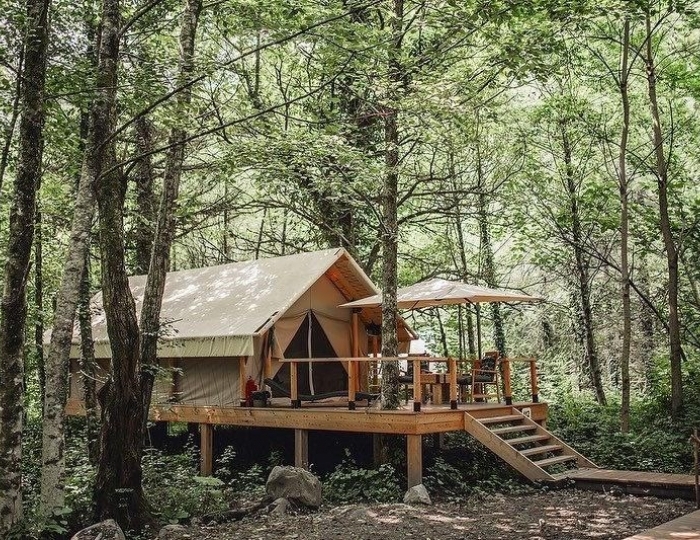 База отдыха «Лес Глэмпинг Сочи»