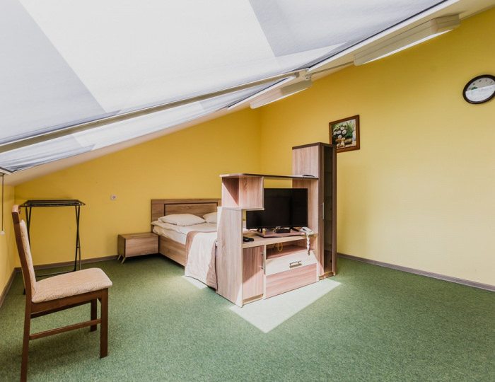 Стандарт 1-местный корпус 2 (мансарда) - Санаторий «Боровое»