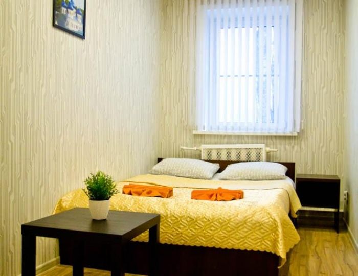 2-местный номер эконом с 1 двуспальной кроватью - Гостевой дом «Альянс» Великий Новгород