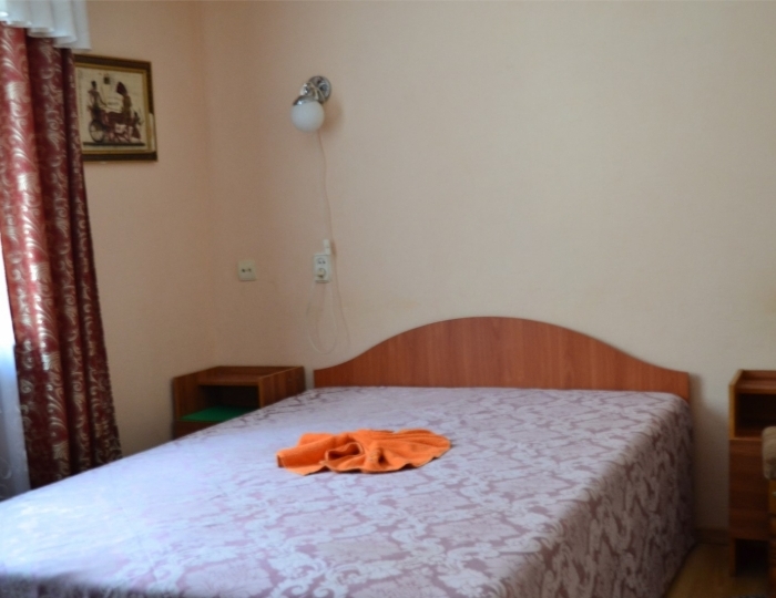 Стандартный 1-местный корпус 1 - Санаторий «Журавушка» Беларусь