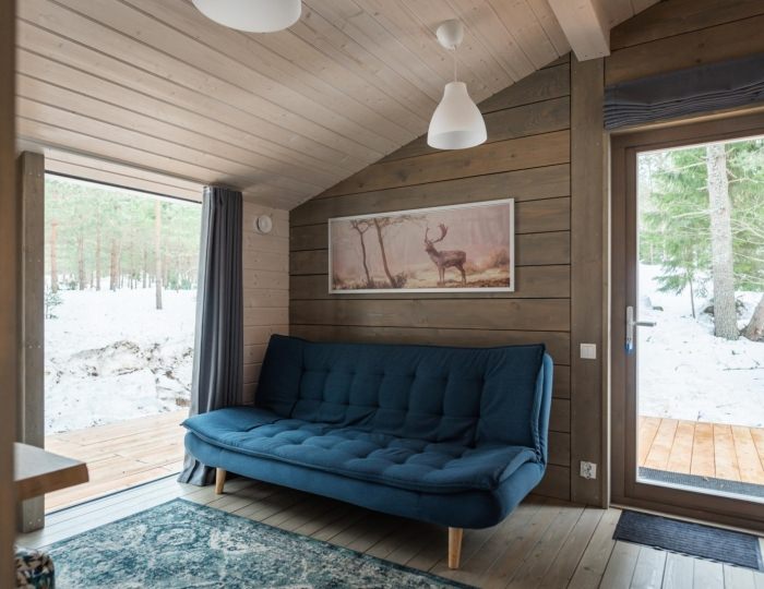 Коттедж премиум - Глэмпинг «Трувор Глэмпинг» Короцко