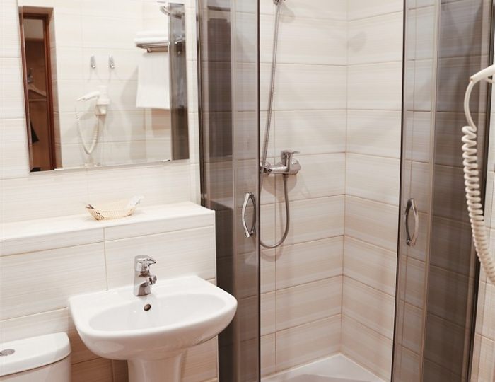 Двухместный номер Стандарт - Отель «Джунгли» (бывш. «Айвенго»)