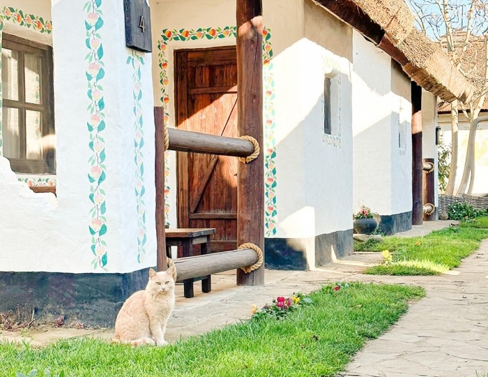 Отель «Диканька» Тамань