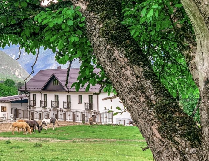 Гостиница «Горная Роза» Архыз
