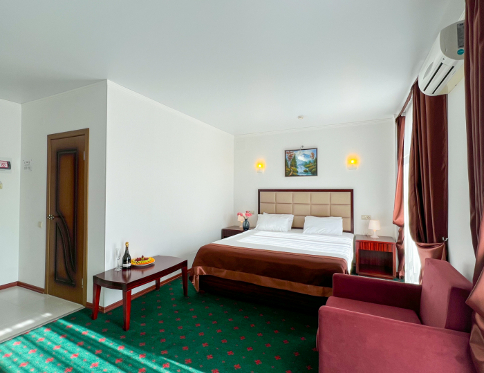 Комфорт 2-местный 1-комнатный TWIN/DOUBLE - Отель Wellness Park Hotel Gagra / Велнес Парк Отель Гагра